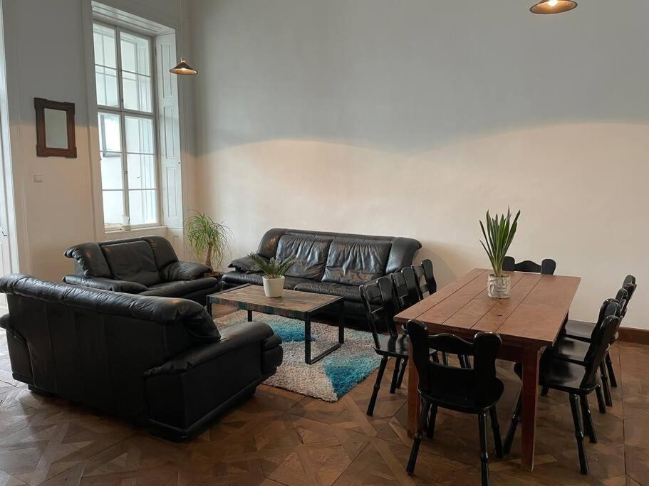 Geraeumige Altbauwohnung Im Zentrum Graz Eksteriør billede